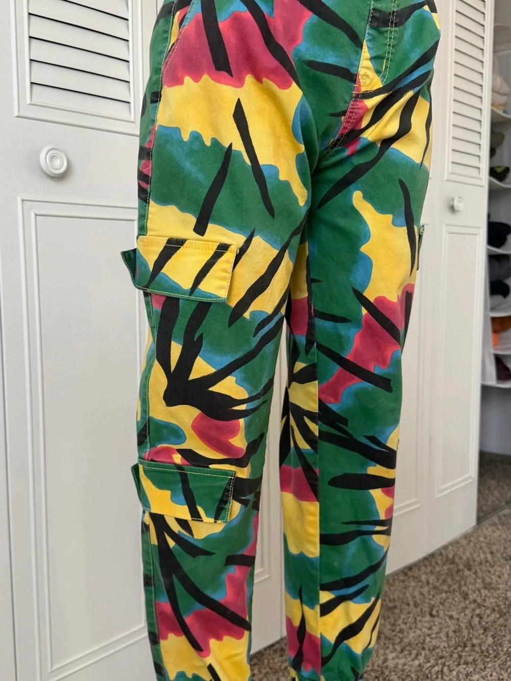 VIP Colorblock Cargo Pants - Picture 2 of 4